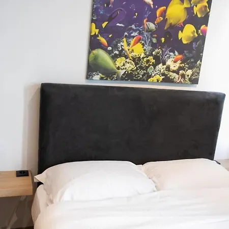 Апартаменты Cozy Modern In